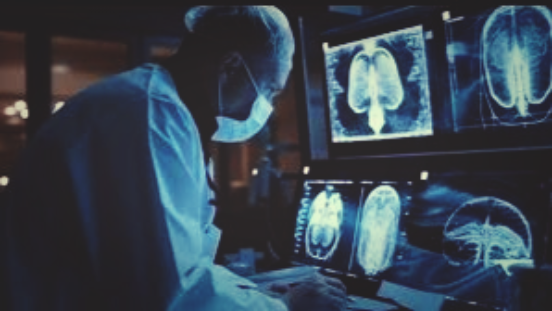 Digital Pathology & AI How Annotated Histology Data Is Transforming Cancer Diagnosis